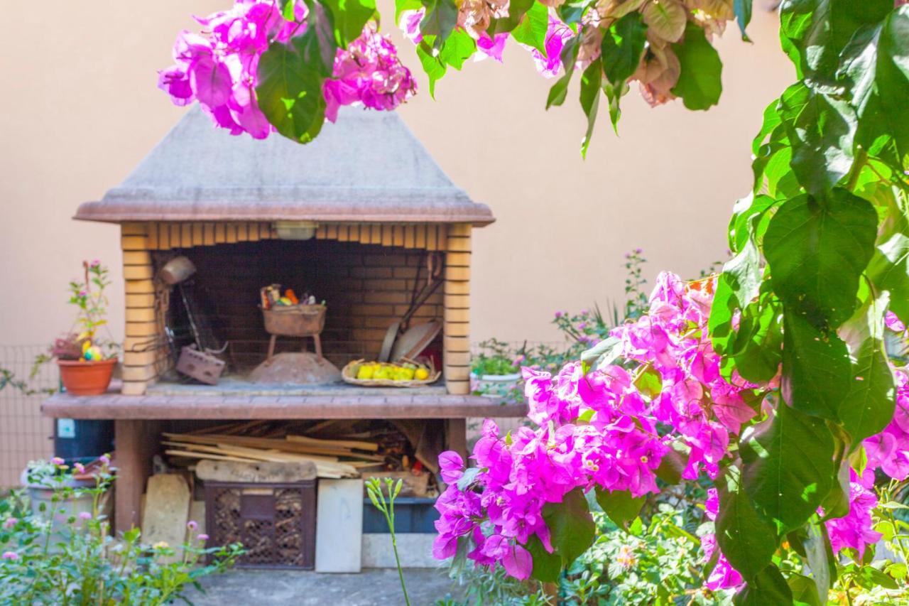 Garden & Makarska